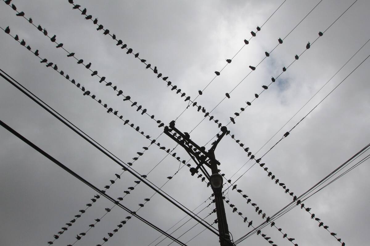 Clima Tijuana: Inicio de semana frío y con cielo nublado