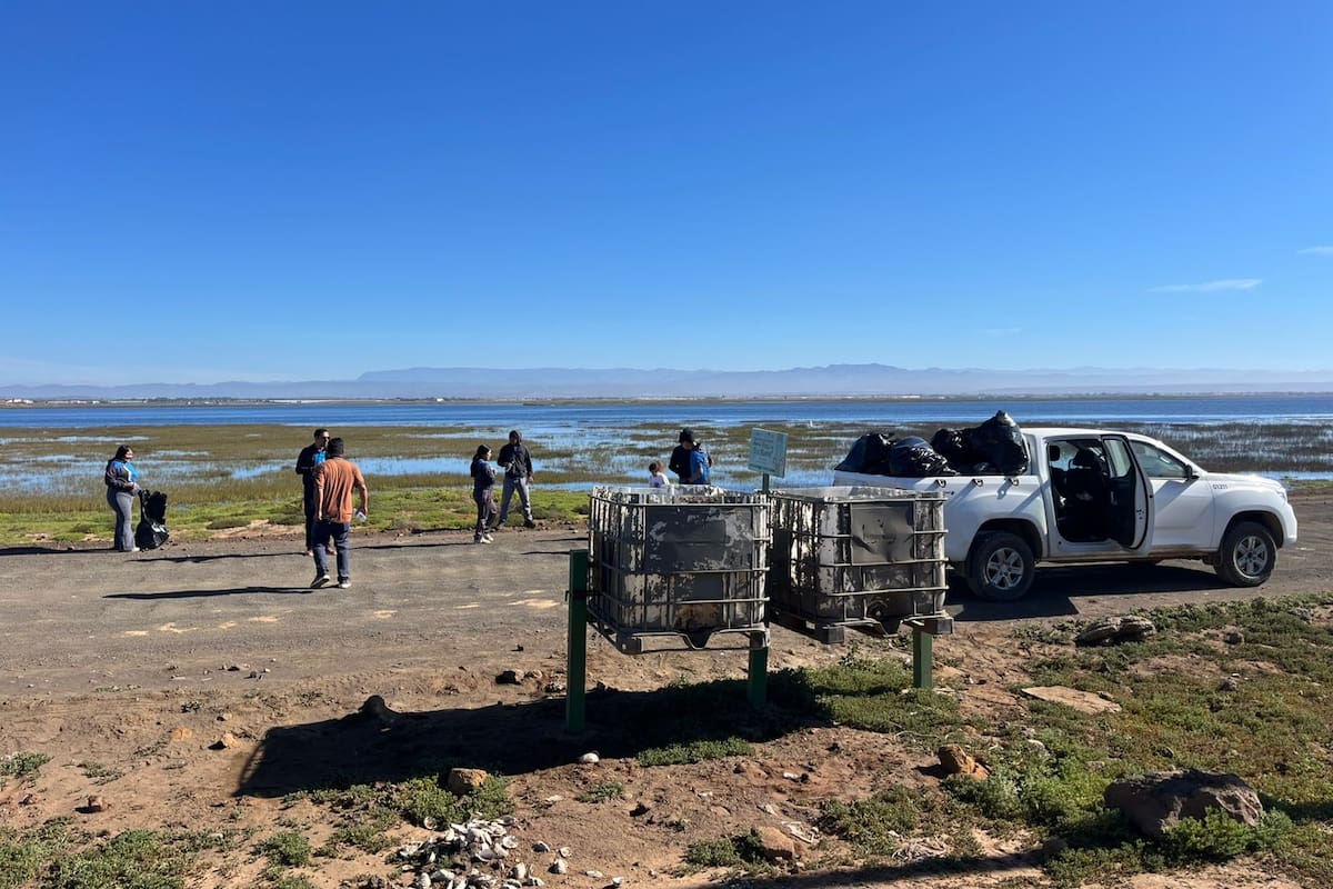 Limpian camino que conduce a Bahía Falsa en San Quintín