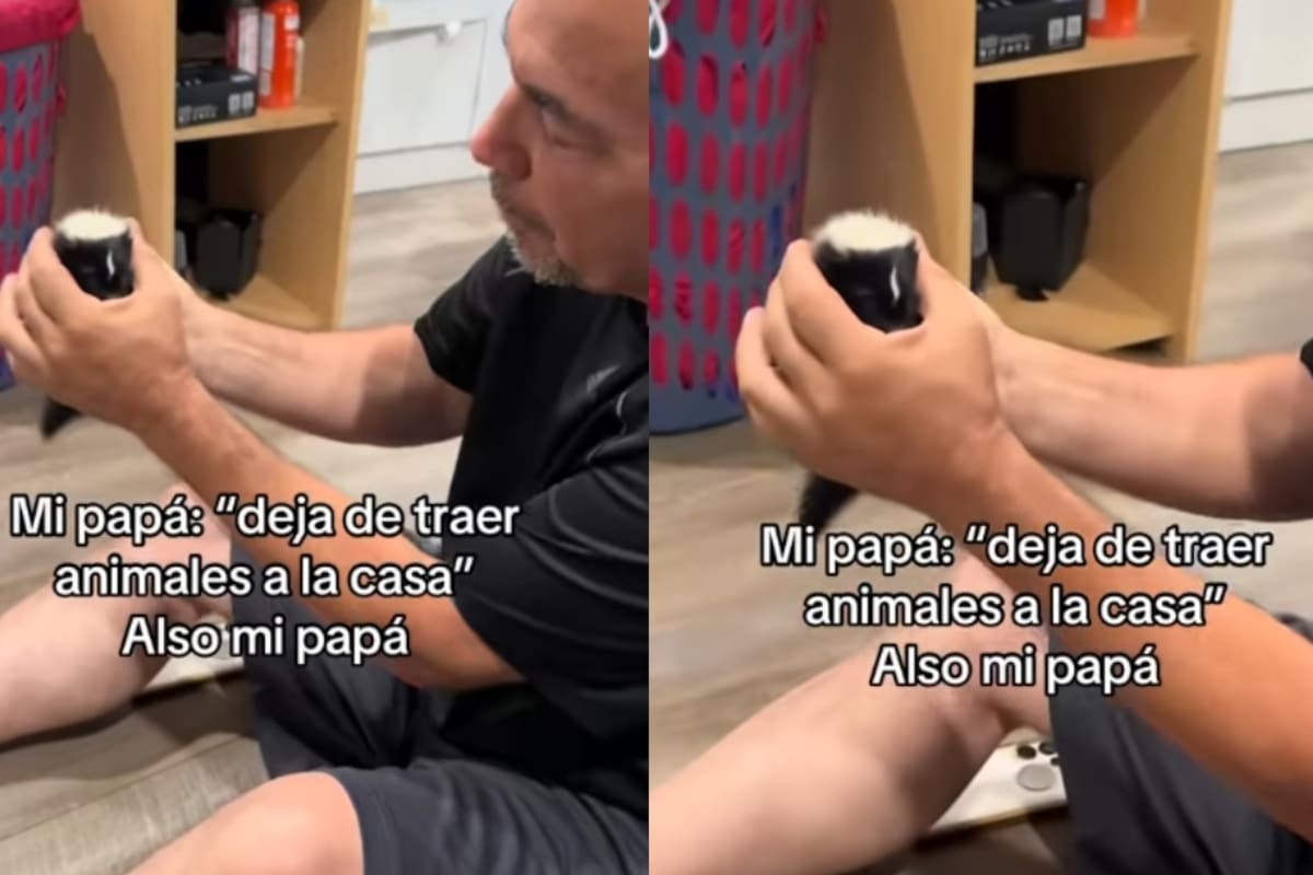 Joven muestra cómo su padre, que no quería animales en casa, terminó adoptando a un zorrillo bebé