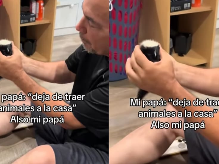 Joven muestra cómo su padre, que no quería animales en casa, terminó adoptando a un zorrillo bebé
