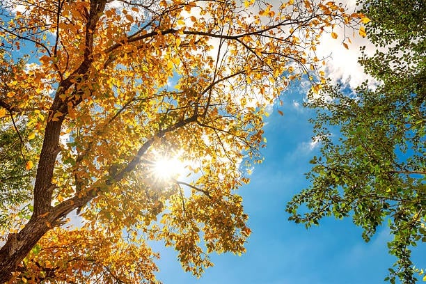 México tiene diferentes regiones climáticas, por lo que las condiciones pueden variar entre entidades. El 22 de septiembre de 2026 comienza el otoño astronómico, pero la temperatura registrada en cada zona dependerá de las condiciones meteorológicas.