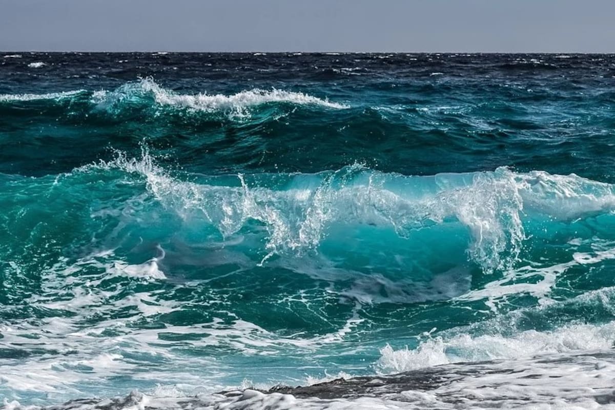 ¡Alarmante! 55 millones de mexicanos estarían en riesgo por nivel del mar