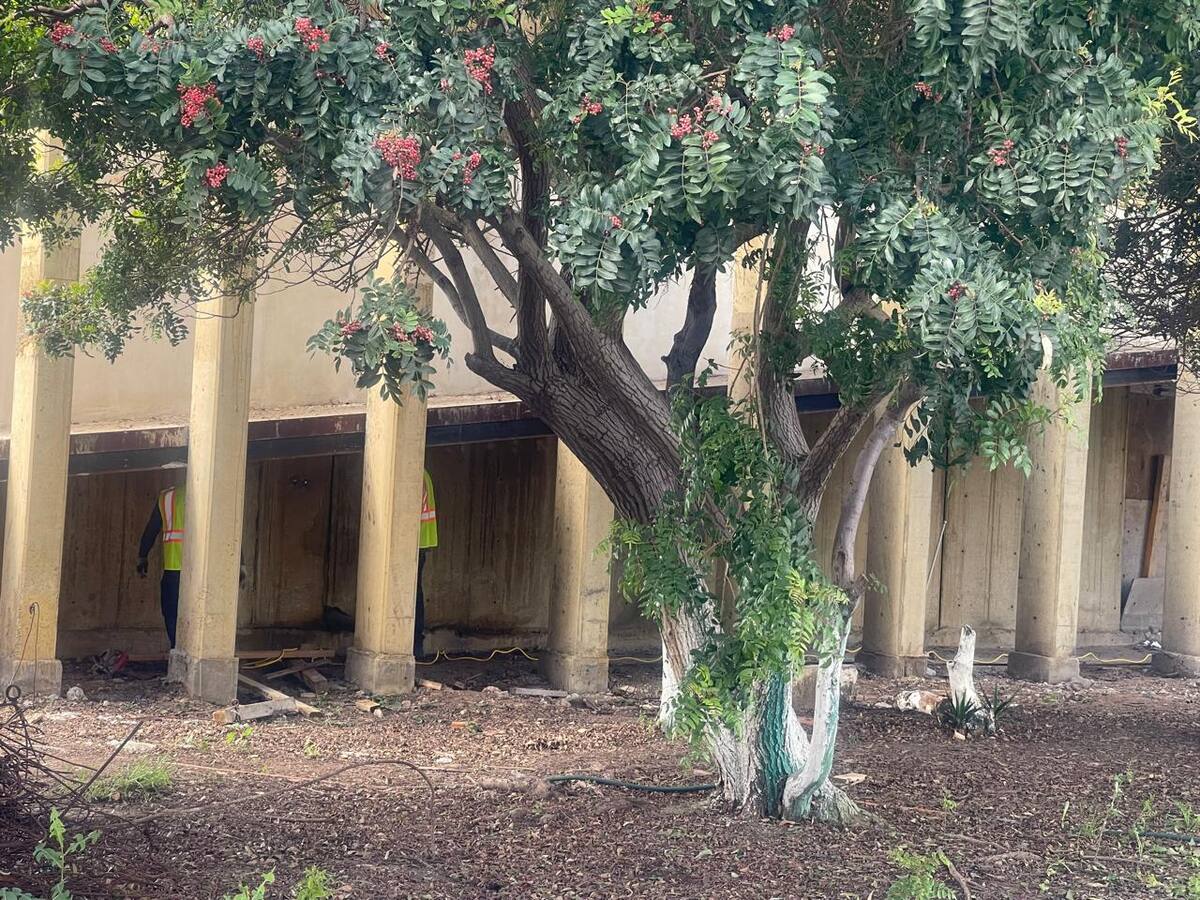 Actualmente se trabaja en la construcción del pretil perimetral y la demolición de los muros de block. Foto: Carmen Gutierrez