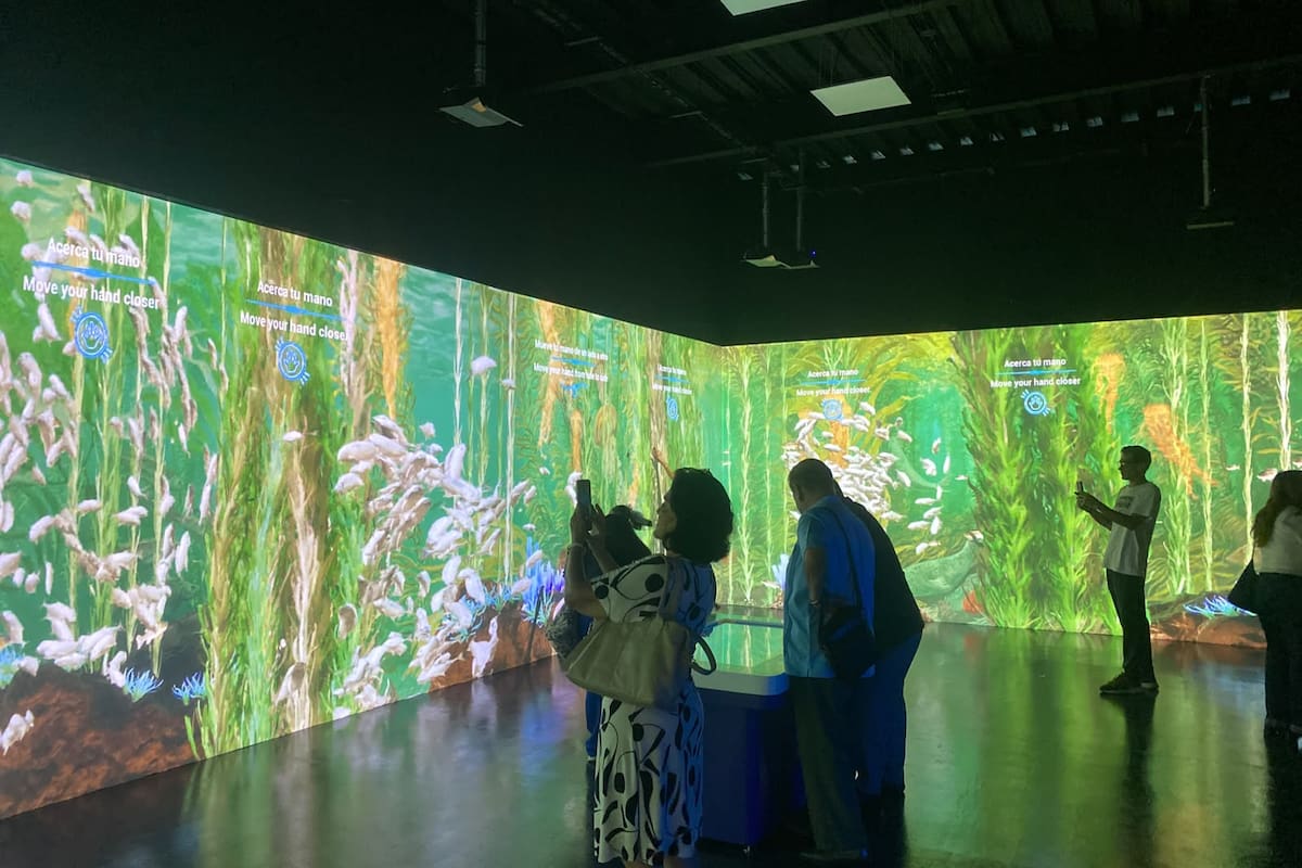 El Trompo inaugura experiencia inmersiva sobre biodiversidad de Baja California
