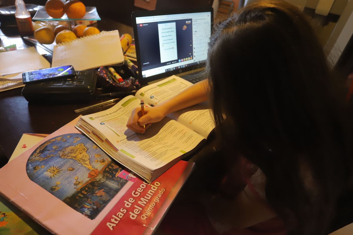 Está en vigor seguro de alumnos