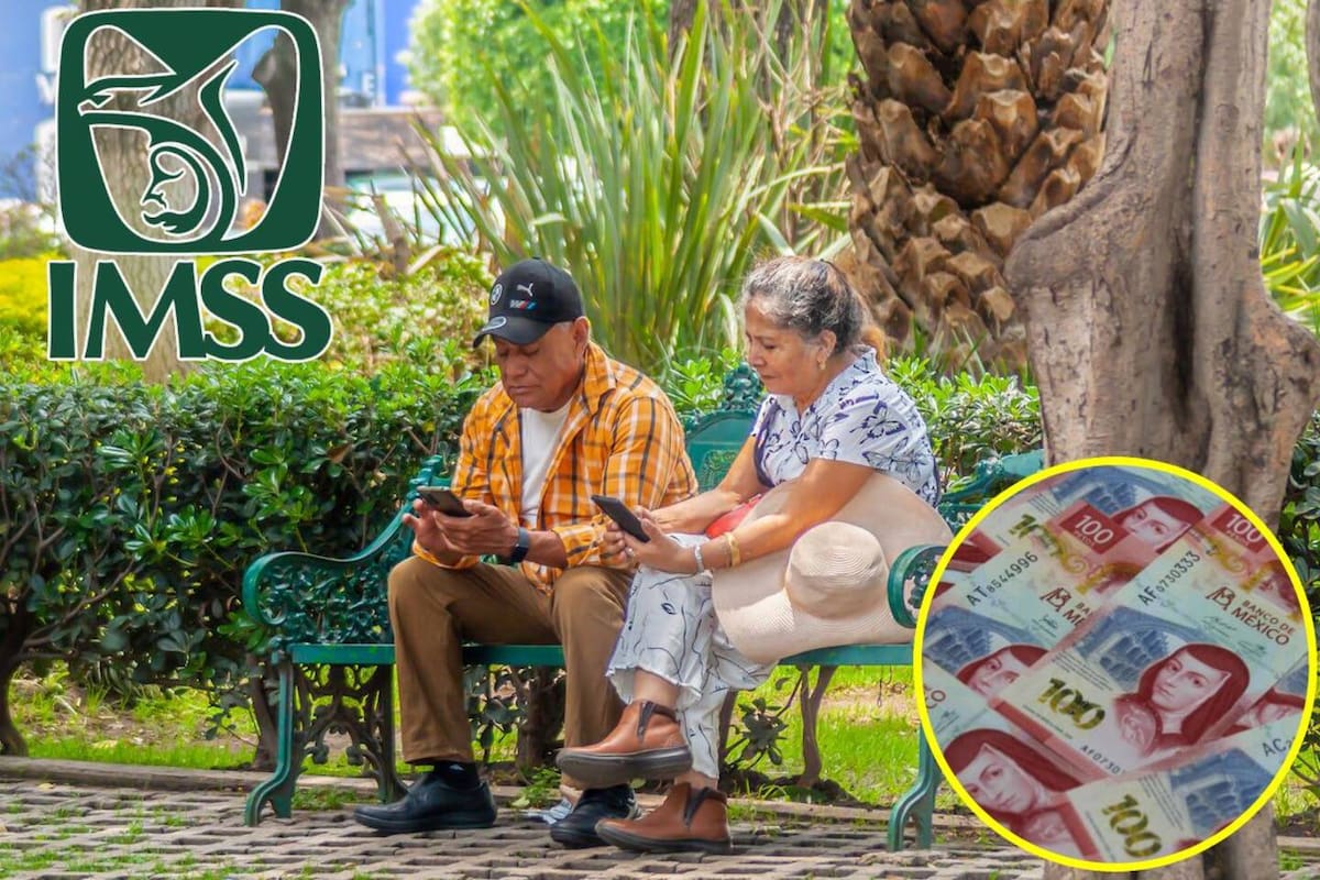 Modalidad 10 del IMSS: Así pueden obtener una pensión los trabajadores independientes aunque nunca hayan cotizado