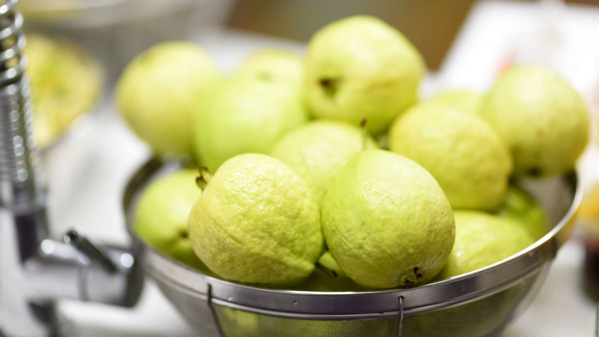 Estos son los beneficios de comer guayaba en ayunas | Foto: Especial