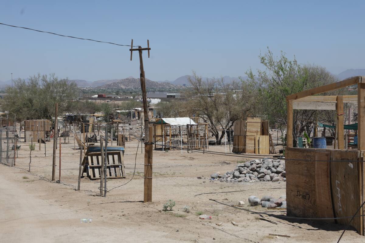 Techos Fríos quitará el calor a 410 familias de Hermosillo en condición vulnerable
