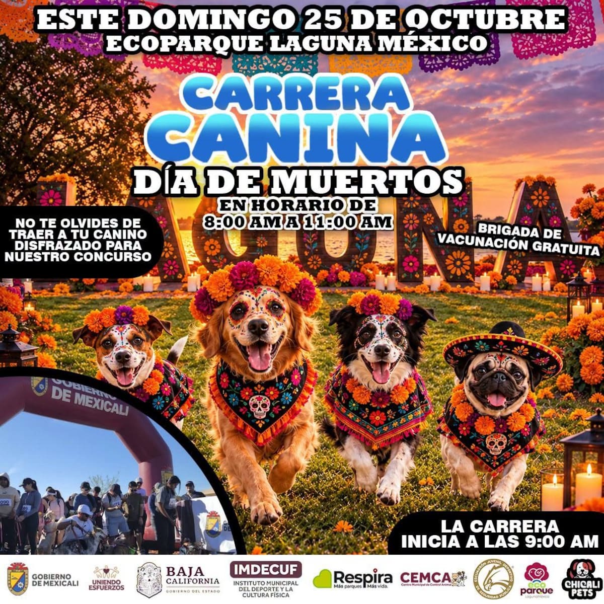 Ecoparque Laguna México, las actividades de la jornada canina iniciarán a las 8:00 horas, mientras que la arrancada oficial de la décima primera edición de la carrera recreativa canina será a las 9:00 horas, concluyendo el evento a las 11:00 horas l Foto: Cortesía