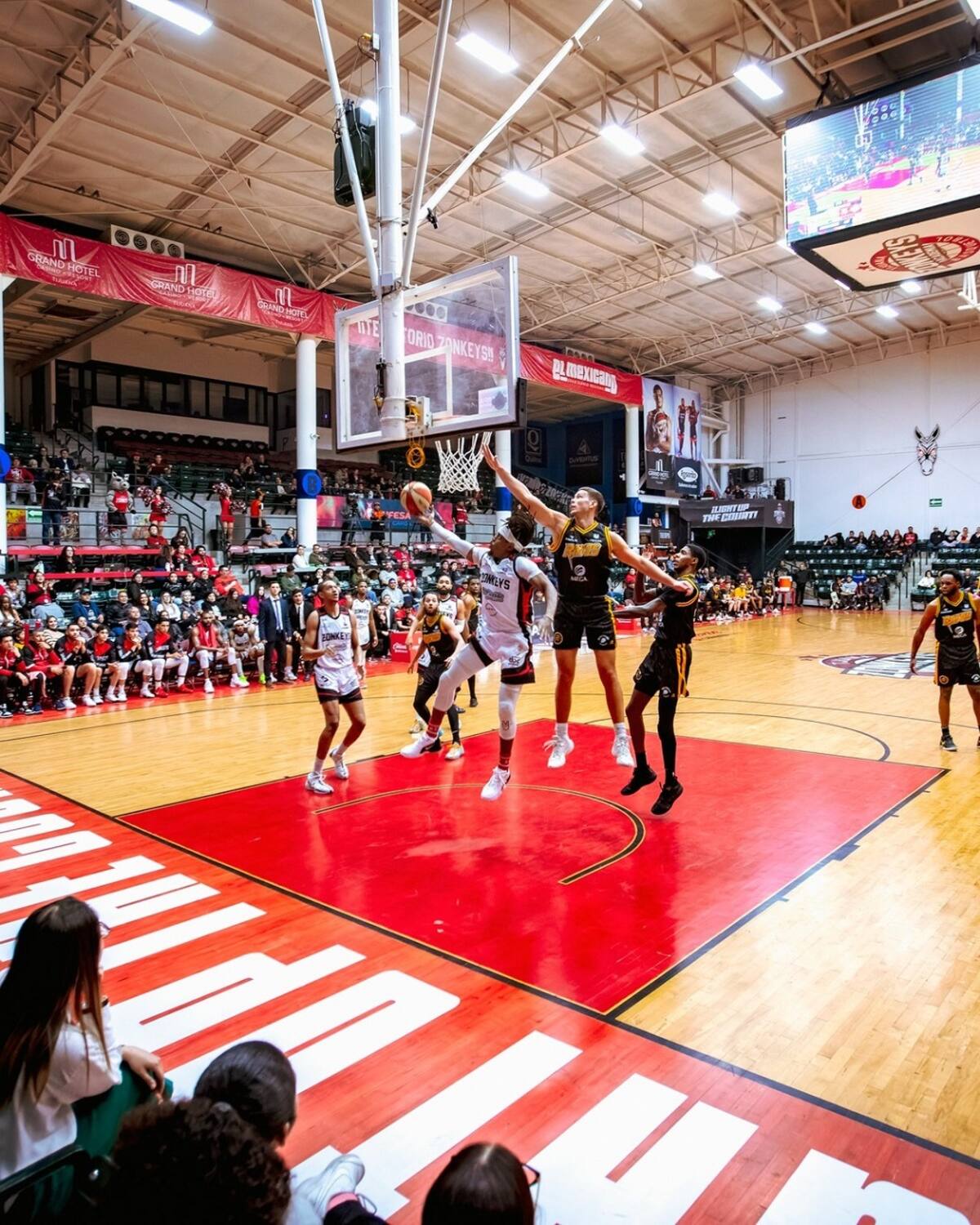 Tijuana Zonkeys viene de dividir honores ante Ángeles de Ciudad de México.
