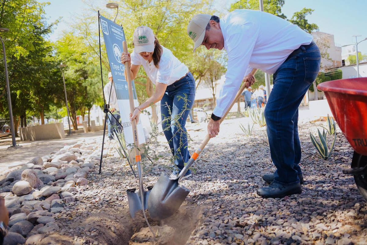 Puerta Real, Solidaridad, La Cholla, Pueblitos y Villa Verde forman parte de las colonias atendidas con acciones de arborización. FOTO: ESPECIAL