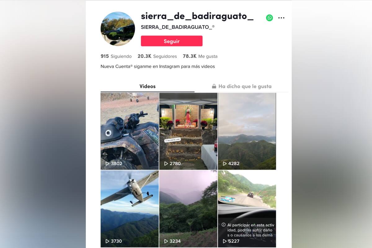“La Chapiza” llega a TikTok; son seguidores del “Chapo Guzmán” y sus hijos