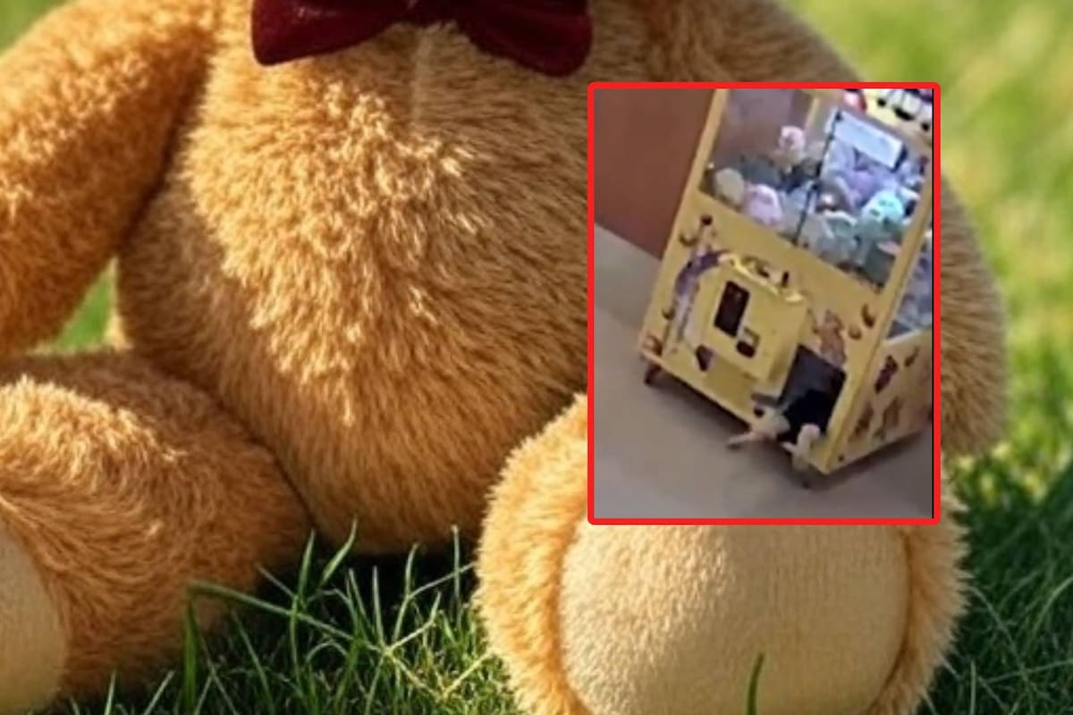 Niño queda atrapado en una máquina de peluches en Ohio: fue rescatado sin lesiones