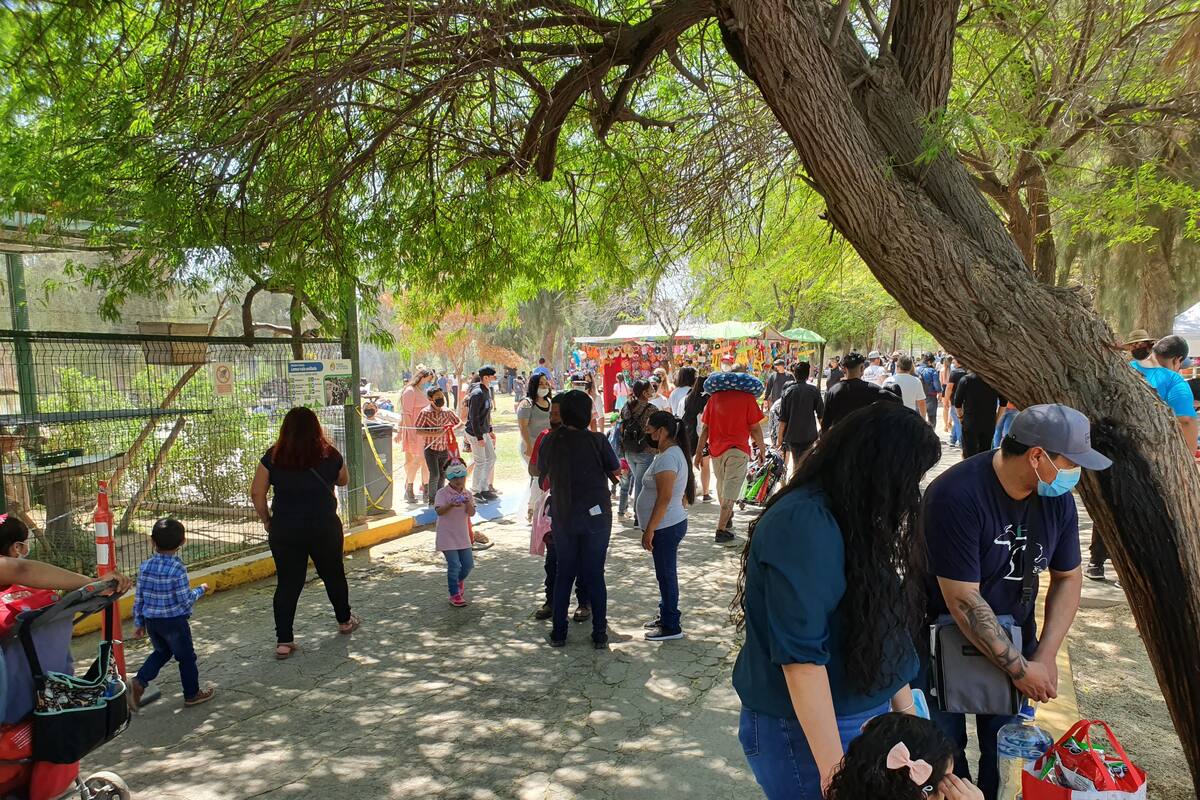 Semana Santa: 40 mil 361 personas acudieron al Bosque de la Ciudad