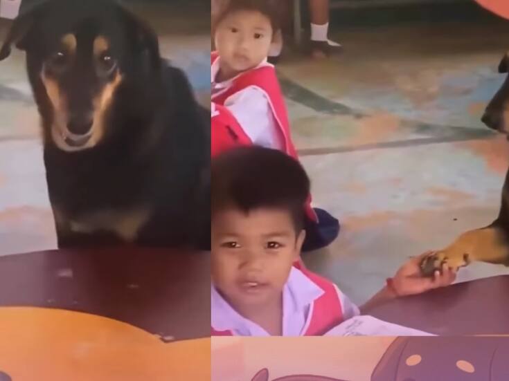 Veterinario lleva a perro con depresión a la escuela para animarlo; la interacción con los niños es adorable