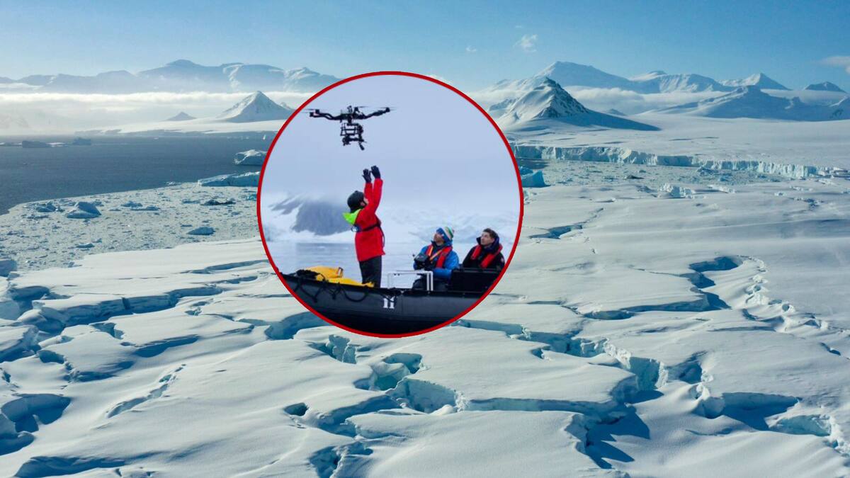 Científicos atrapados en la Antártida desde hace 10 meses temen por ataque sexual de uno de ellos contra compañera. | Especial