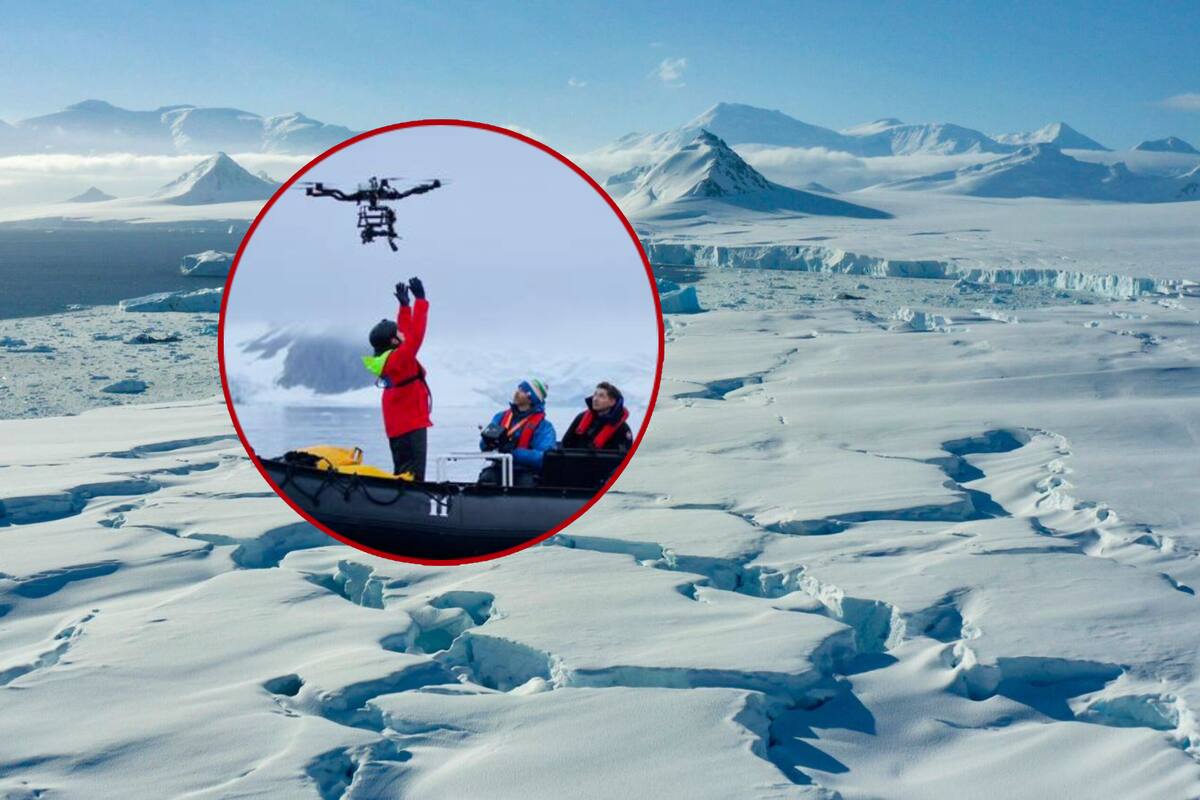 Científicos atrapados en la Antártida piden ayuda tras agresión sexual de uno de ellos a compañera