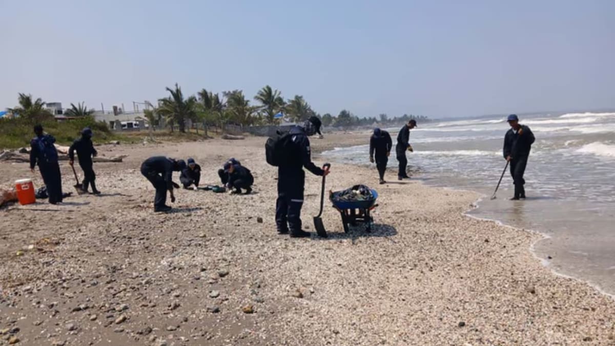 Las labores de contención incluyen barreras, recorridos marítimos y monitoreo en 48 playas del litoral. /El Universal