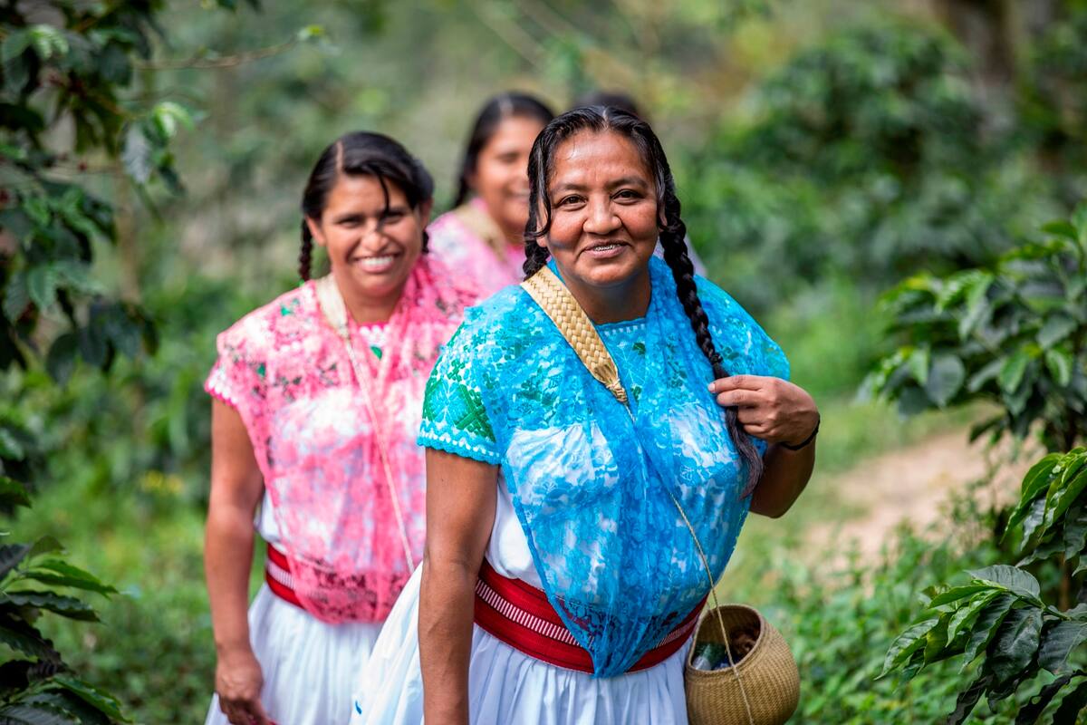 Campesinas mexicanas de Puebla se empoderan a través del cultivo de café