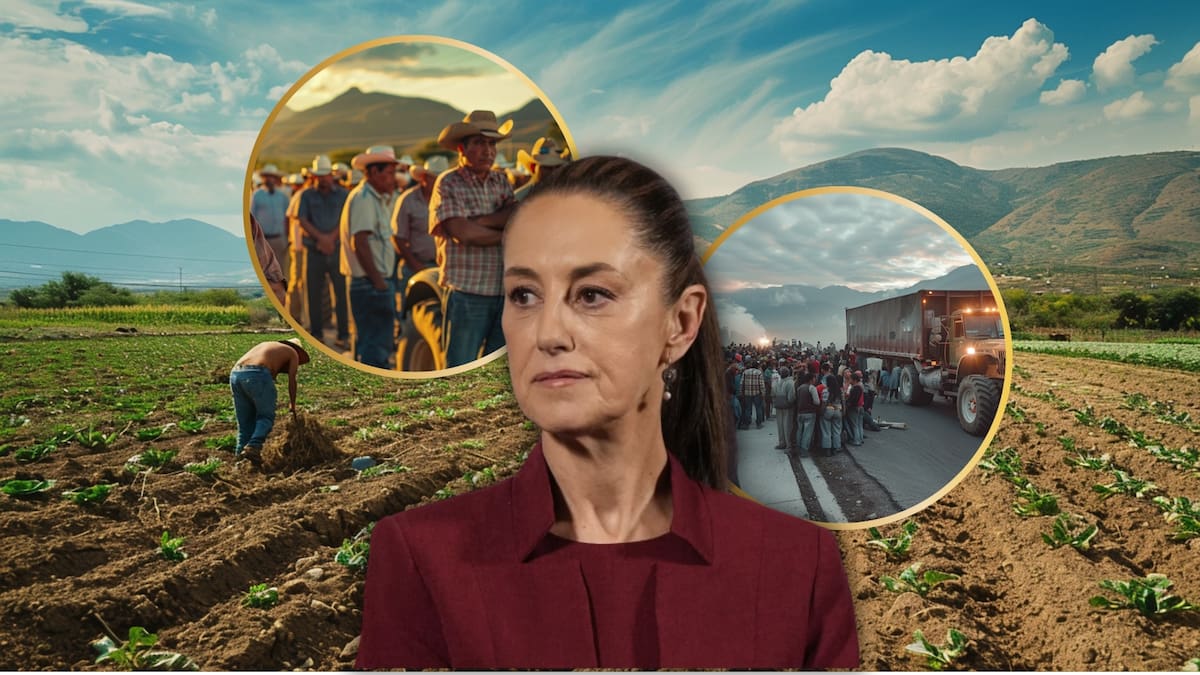 Sheinbaum descarta movilización campesina generalizada en Navidad y Año Nuevo y afirma que el diálogo es con organizaciones específicas, no con el campo en su conjunto