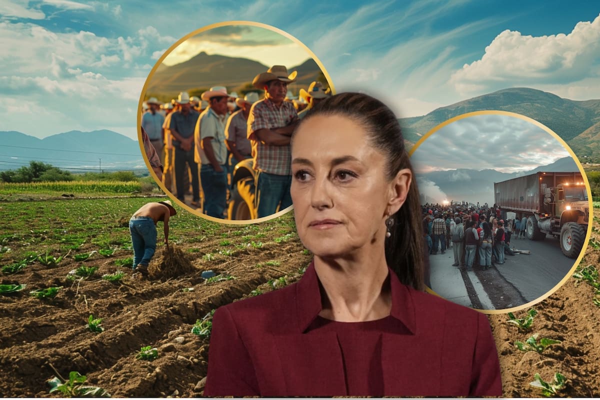 Sheinbaum descarta movilización campesina generalizada en Navidad y Año Nuevo y afirma que el diálogo es con organizaciones específicas, no con el campo en su conjunto