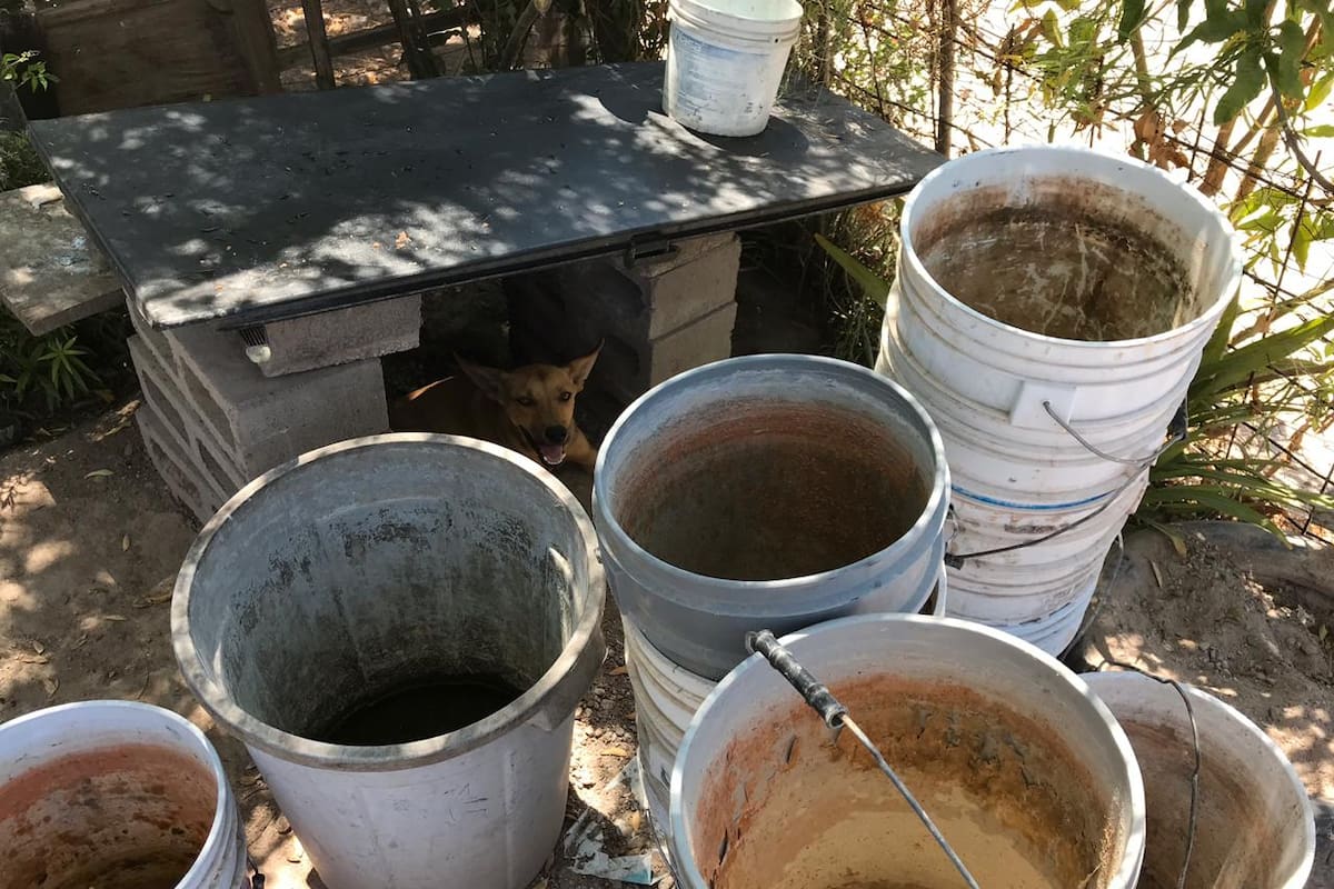 Pipas no alcanzan para surtir a zonas sin agua en Navojoa