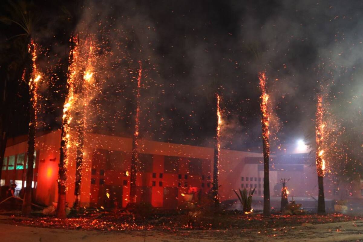 El 95% de incendios de palmeras son provocados