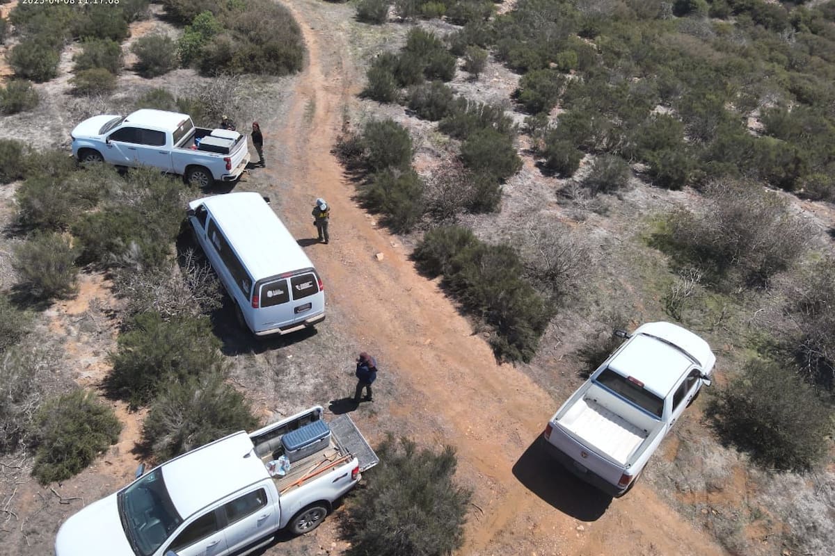 Localizan osamenta y un cuerpo en la zona de San Carlos