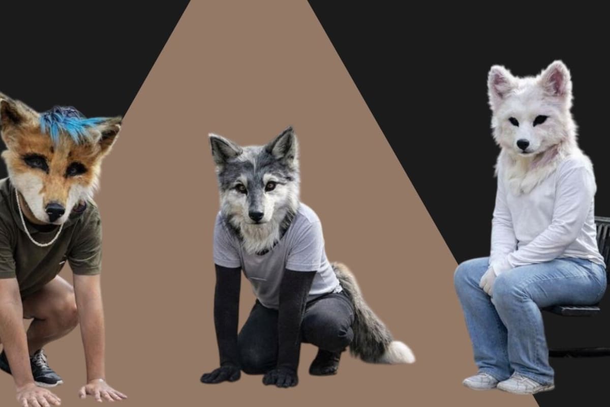 ¿Qué es un “therian” y por qué cada vez se habla más de este fenómeno en redes sociales?