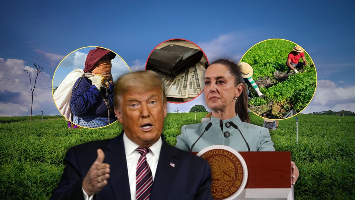 Vivir con el salario mínimo federal en grandes ciudades suele ser insuficiente para cubrir gastos básicos.