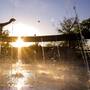 Calor en Sonora deja 17 muertes y 296 personas afectadas: Es el segundo estado con más defunciones en México