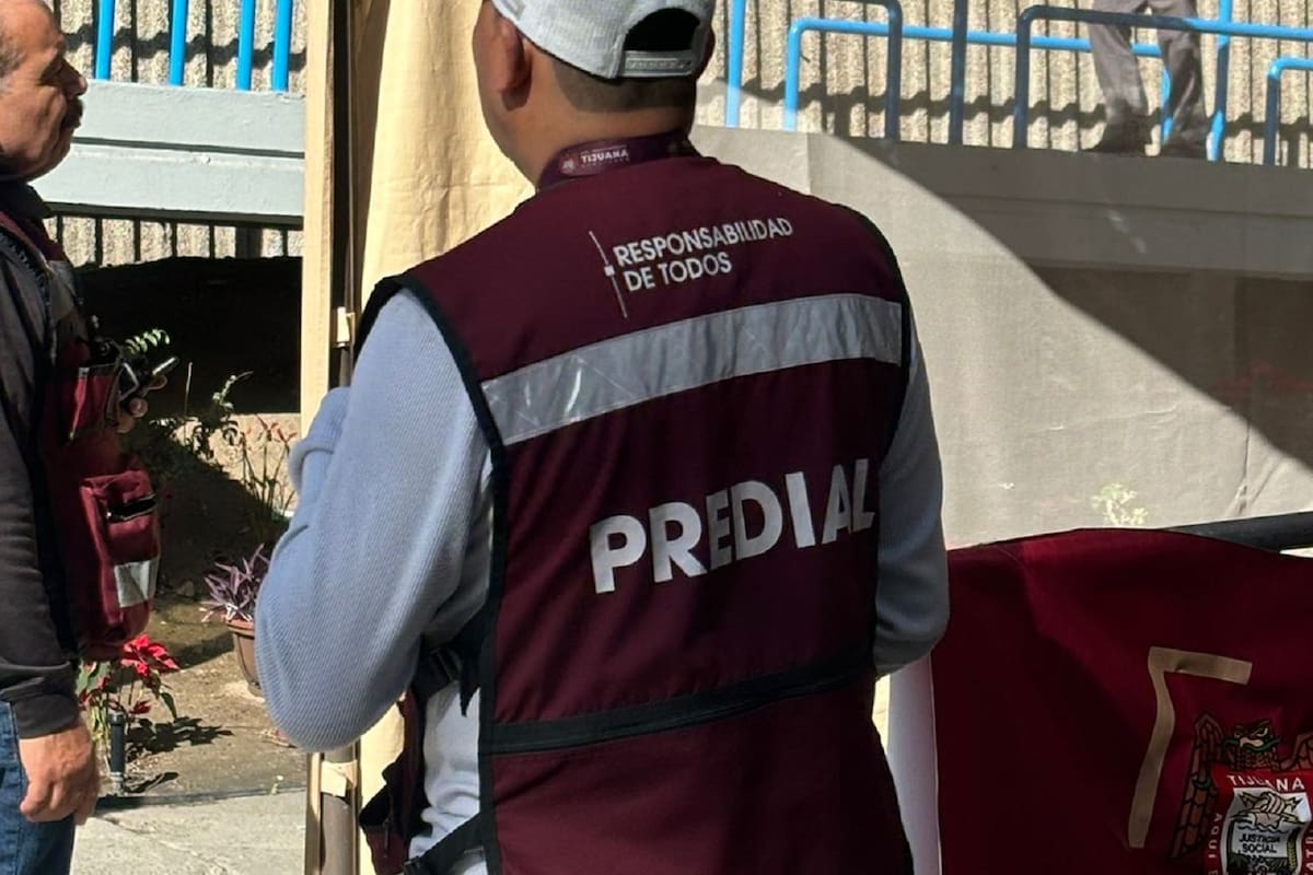 Aumenta 8% la recaudación del predial en Tijuana durante los primeros días de 2026