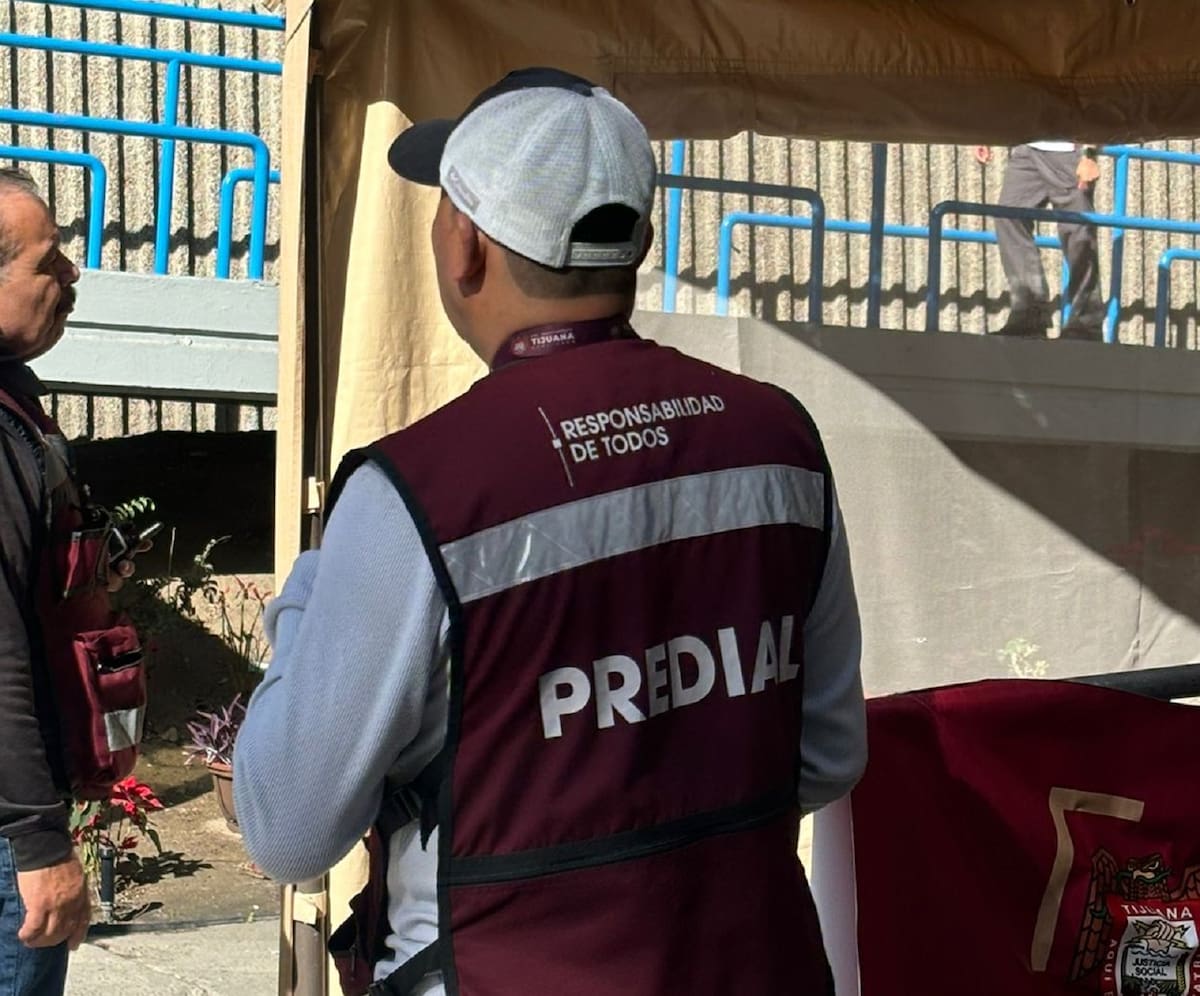 Ingresan más de 392 millones de pesos por pronto pago; Tesorería reporta mayor confianza ciudadana. Foto: Lorena Salinas