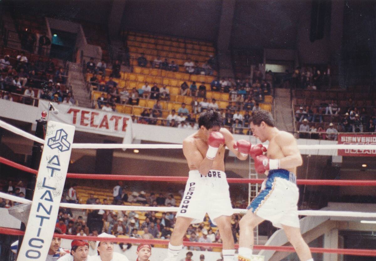 Julio César Chávez peleando con el 'Tigre' Perdomo en el C.U.M. de Hermosillo, Sonora el 13 de diciembre de 1991. (Foto: Archivo GH)