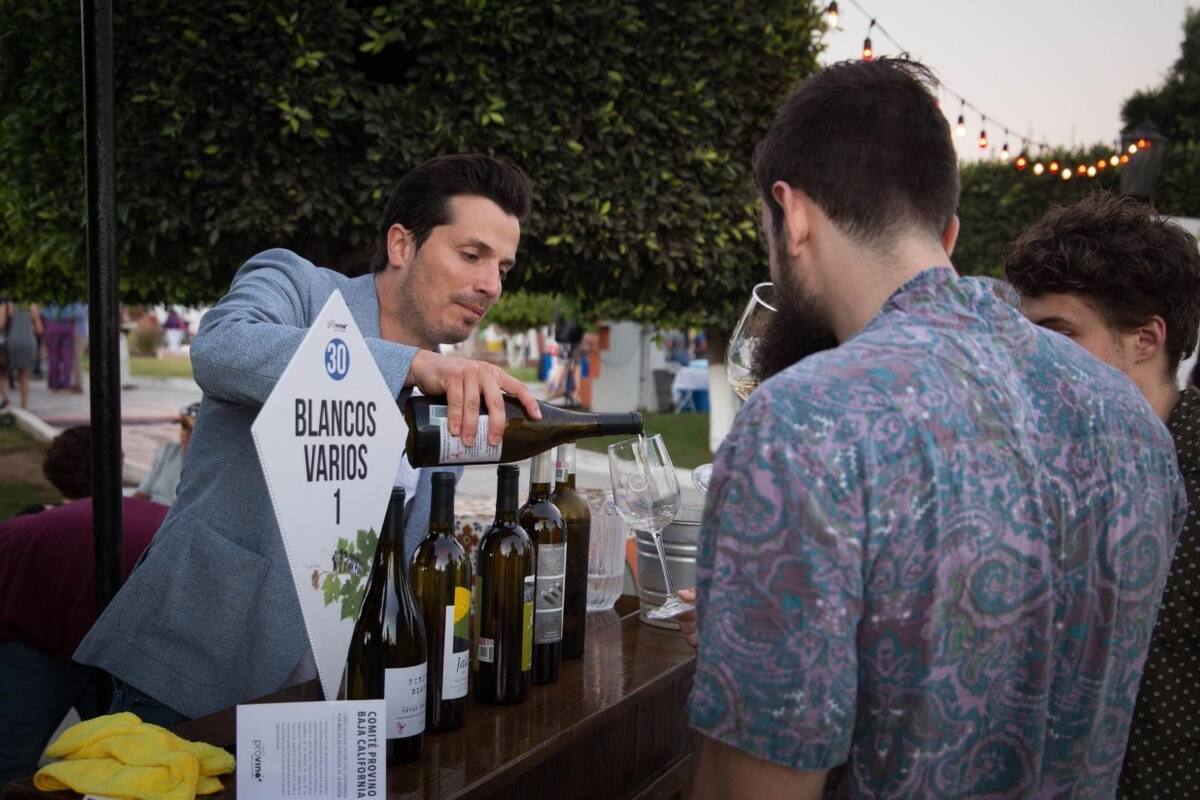 Degustarán etiquetas novedosas en la muestra del vino