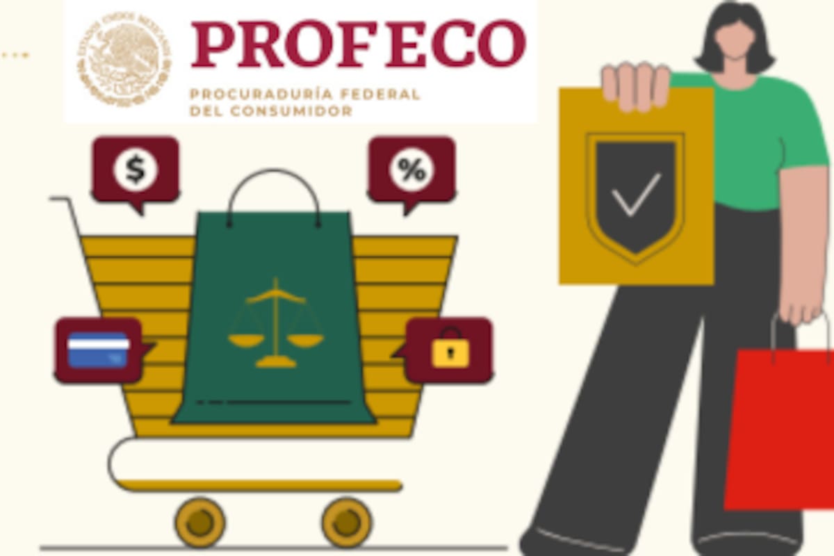 La Profeco publica guía sobre los derechos básicos de consumidor, un recordatorio para que las personas conozcan, hagan valer y defiendan sus derechos ante proveedores