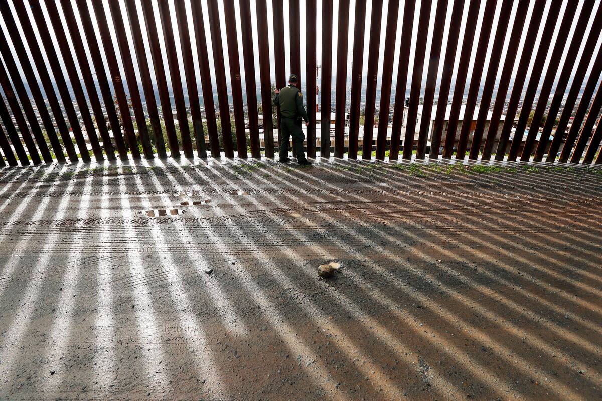 Seguidores de Trump construyen muro "privado" en frontera