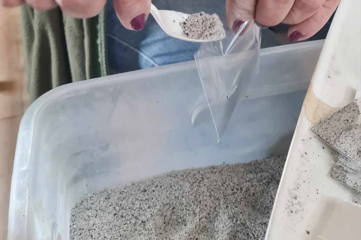 Hoy inicia la cuaresma con la imposición de Ceniza, símbolo de arrepentimiento