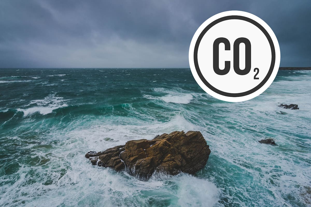 Científicos ven por primera vez el proceso de captación de CO2 en los océanos