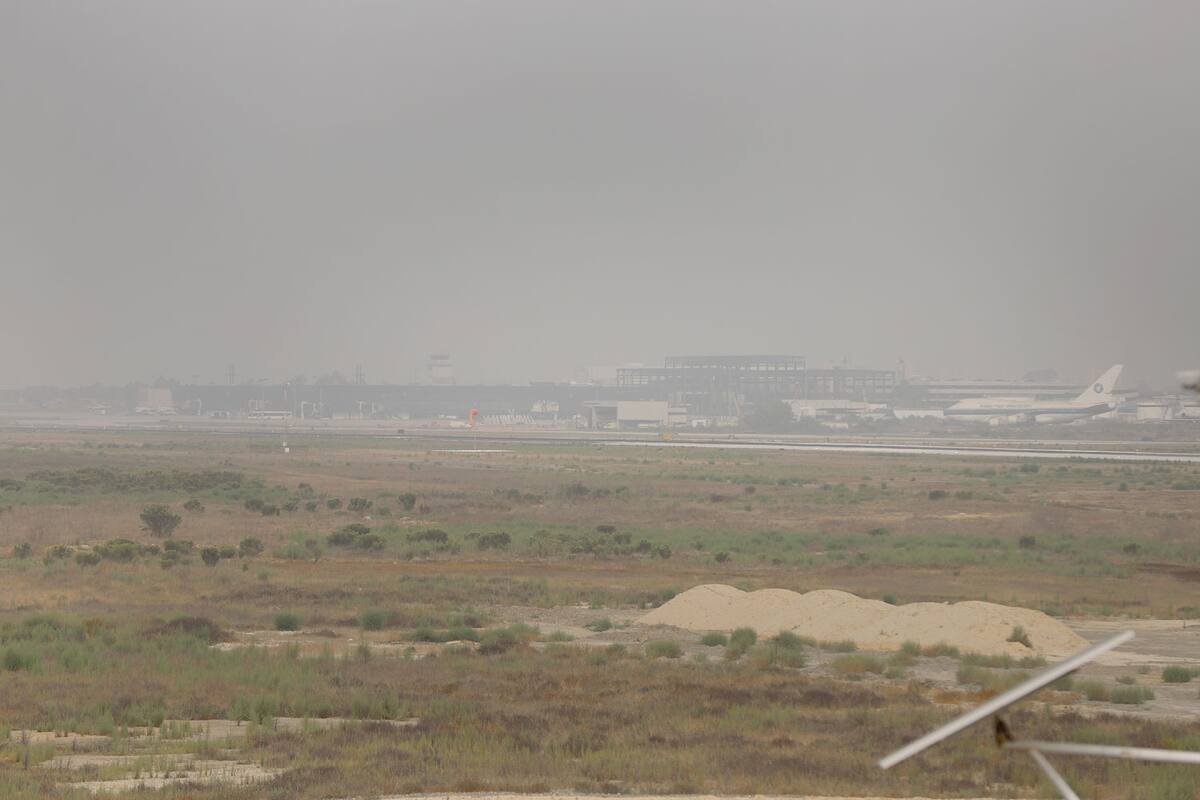 Afecta neblina decenas de vuelos en Aeropuerto de Tijuana