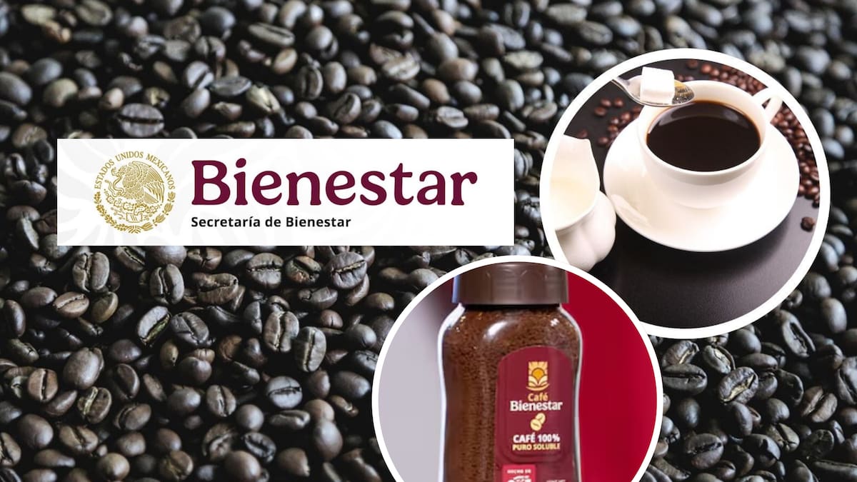 Sheinbaum anuncia compra directa de café a productores de Guerrero a través de Sembrando Vida y Alimentación para el Bienestar para crear el Café del Bienestar y pagar precios justos a productores