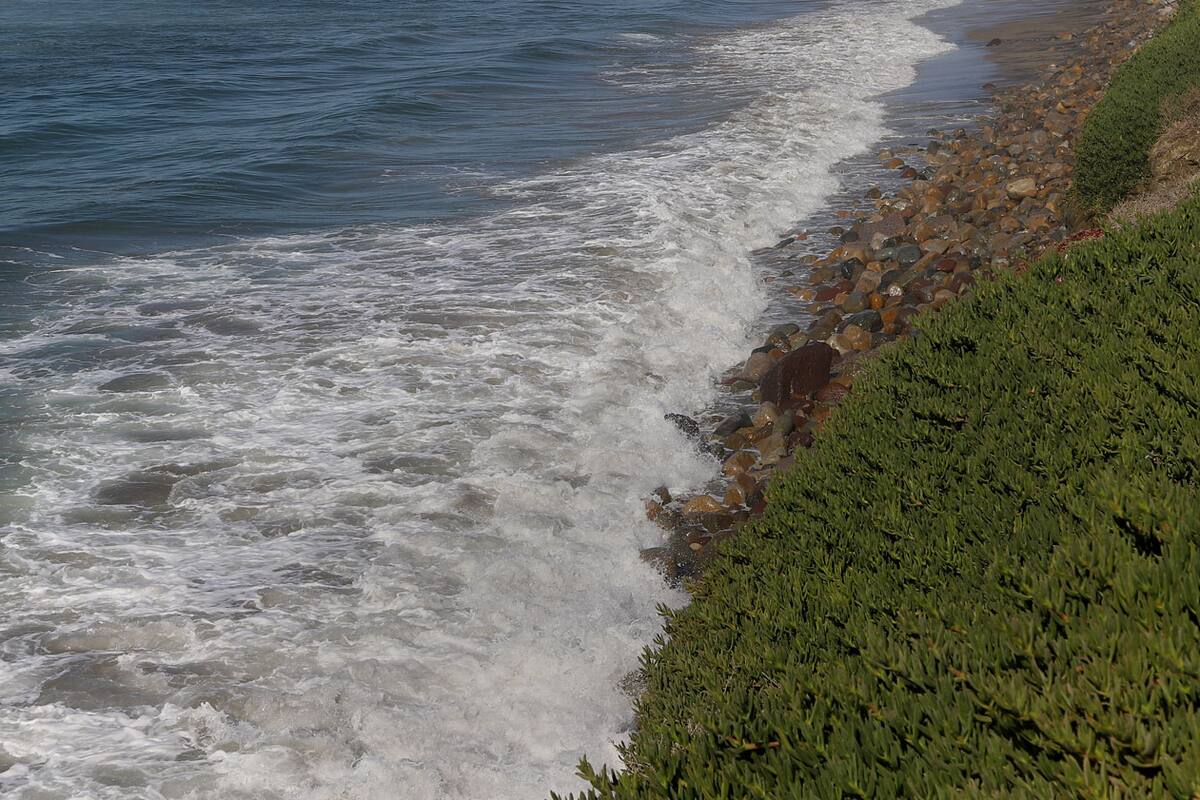 Muere migrante ahogada en playas de Tijuana