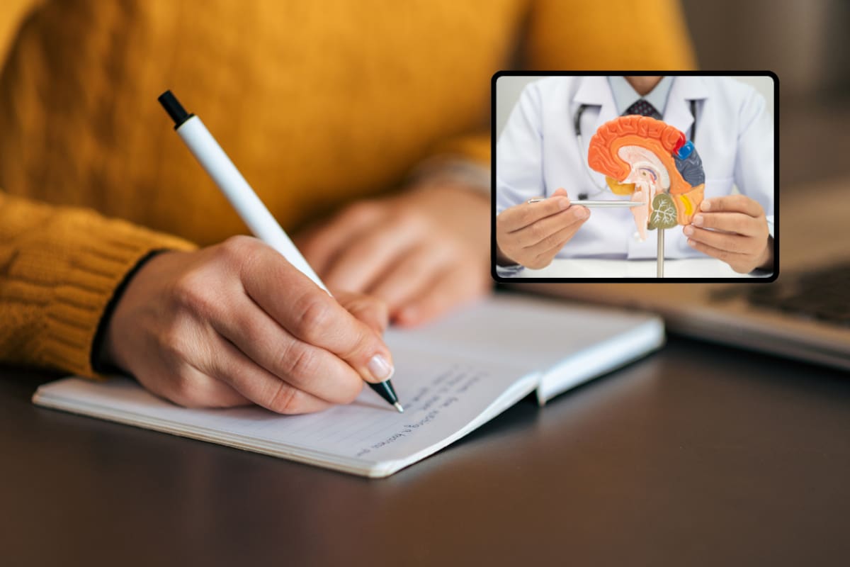 Escribir a mano tiene beneficios para el cerebro y refuerza la memoria en la era digital, esto dice la ciencia