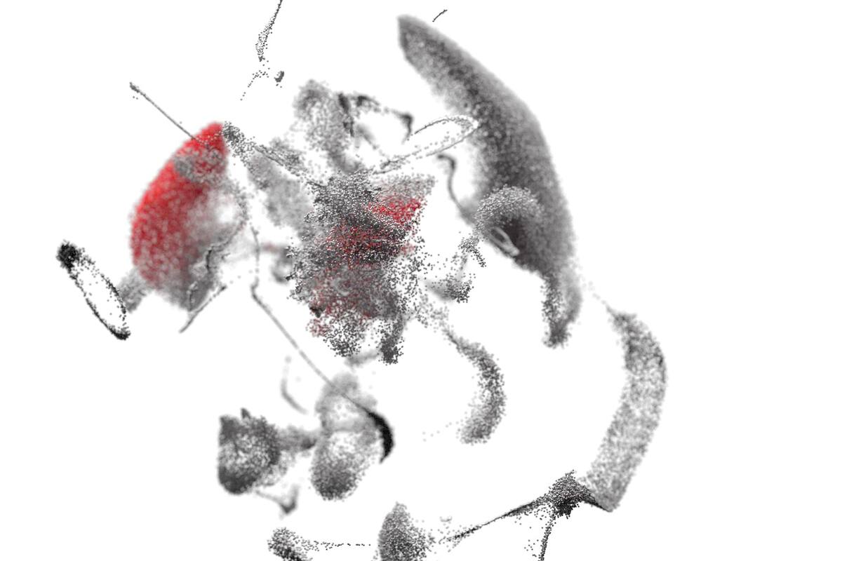 Inteligencia Artificial ayuda a mapear la biología de las lesiones medulares a detalle