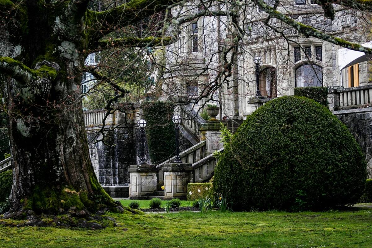 Descubre un palacio episcopal de la época medieval en su jardín