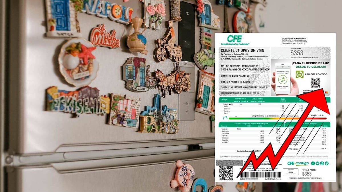 ¿Los imanes en el refrigerador aumentan el recibo de luz? Esto dicen expertos y fabricantes sobre el consumo de energía