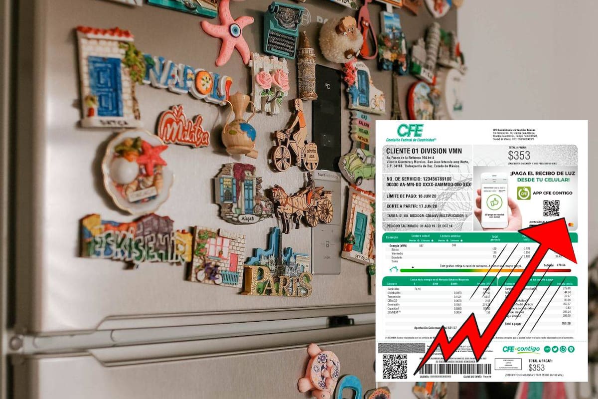 ¿Los imanes en el refrigerador aumentan el recibo de luz? Esto dicen expertos y fabricantes sobre el consumo de energía