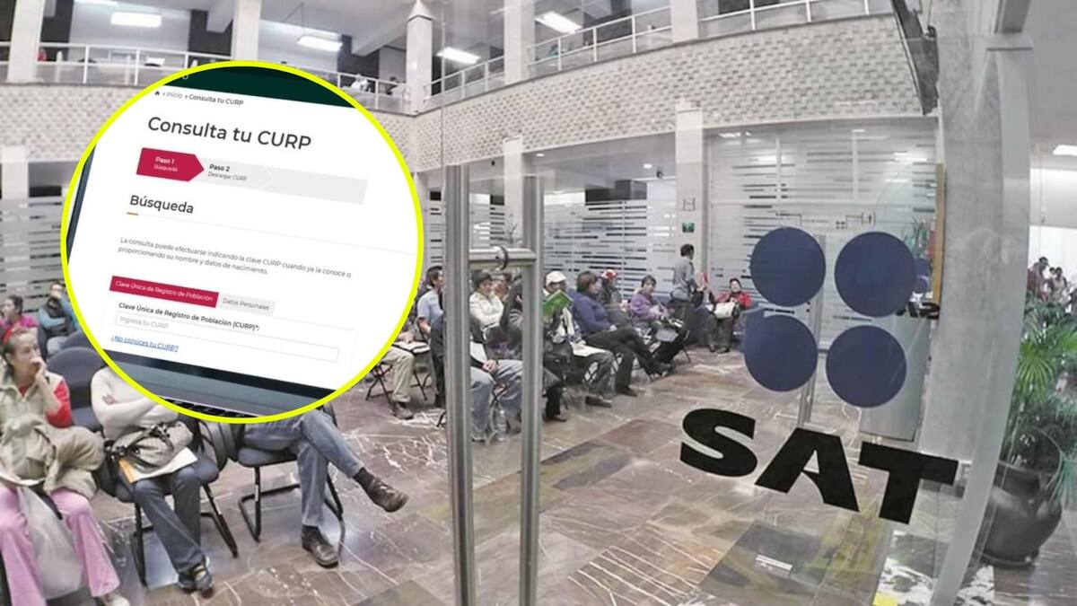 La CURP ya no será necesaria para poder realizar estos trámites / Especial