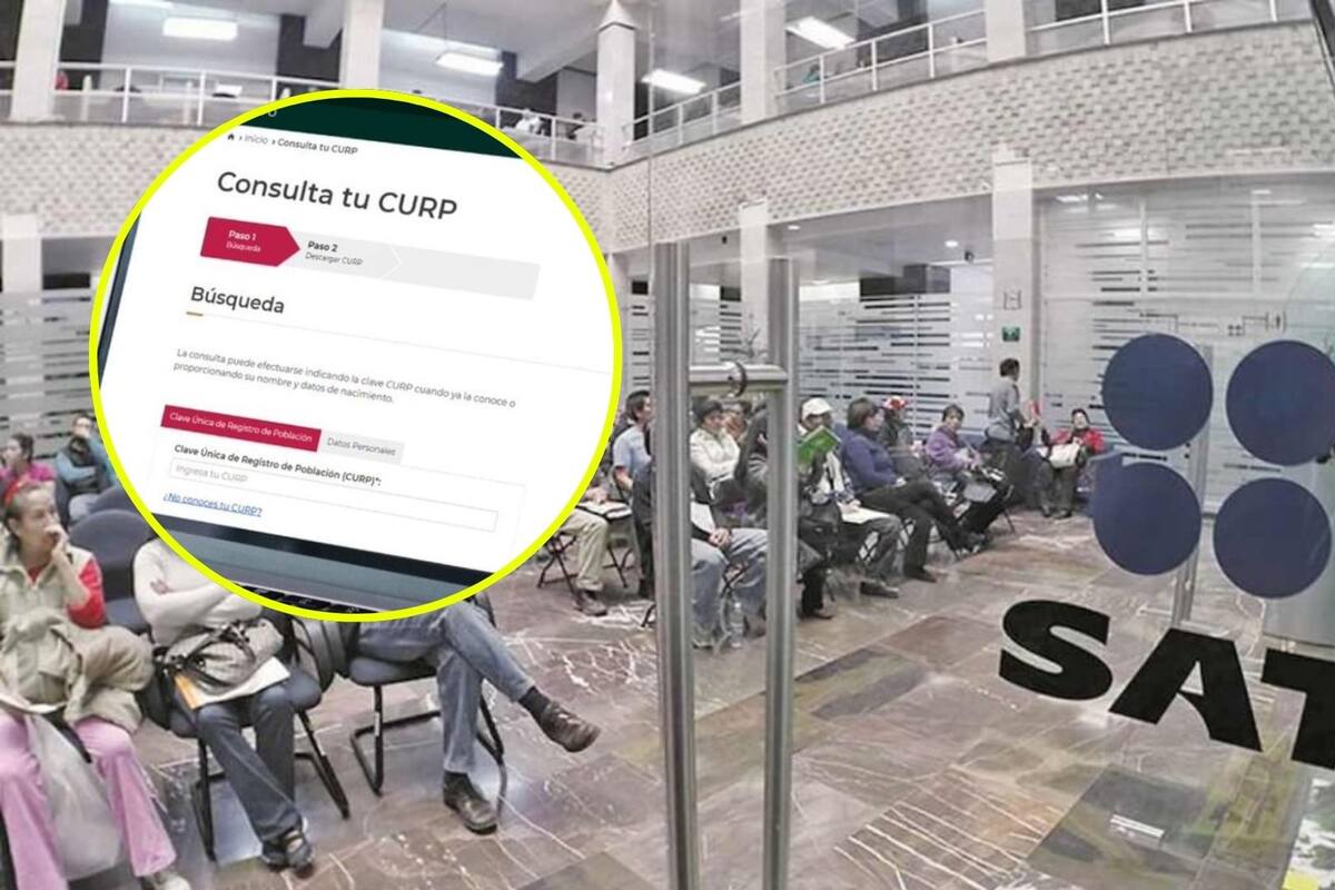 Ya no necesitarás llevar tu CURP para estos trámites; este será el nuevo documento obligatorio