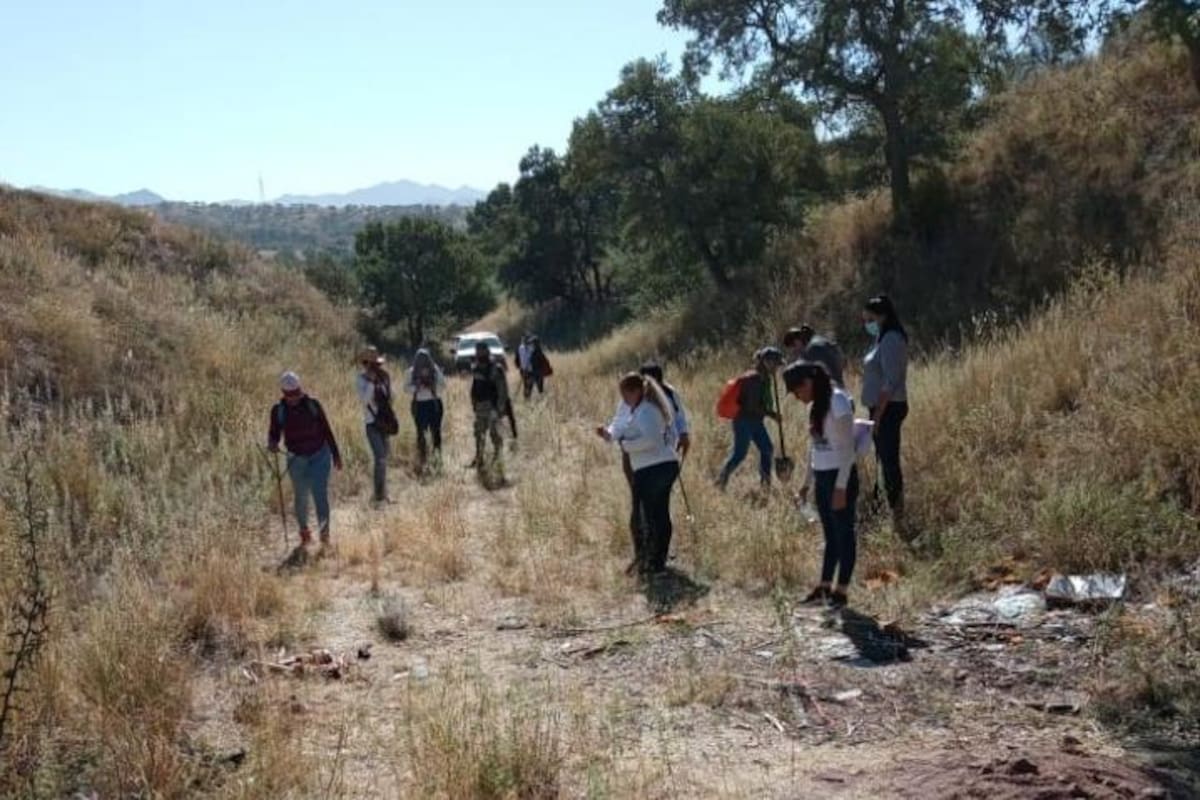 Madres Buscadoras de Sonora halla restos humanos